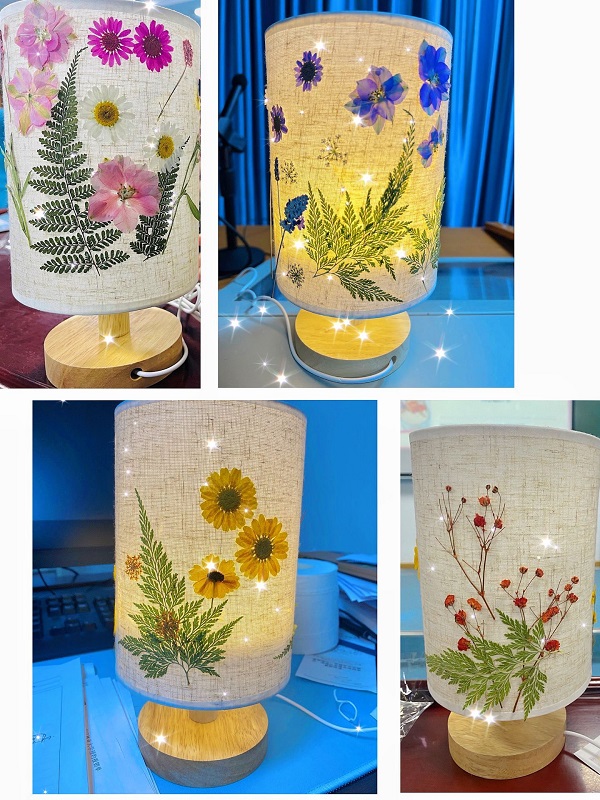 QQ图片20240516170947-1