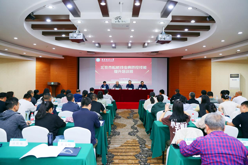 图片1_71462图片1