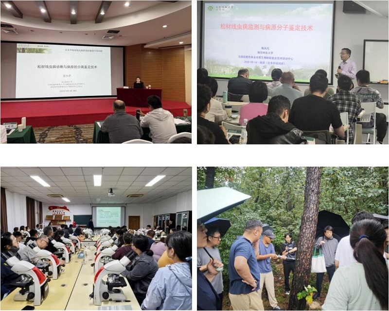 QQ截图20251020084006